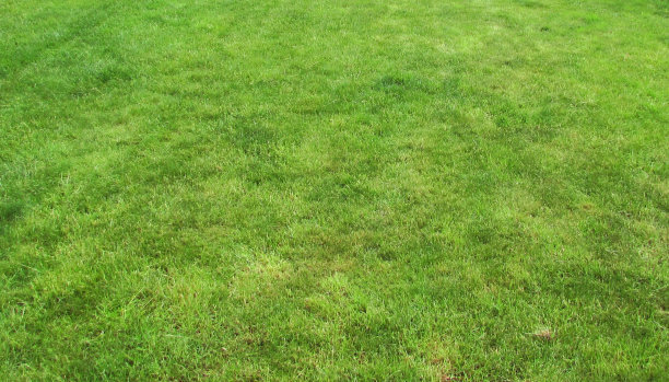 1630077141724620.jpg 1630077141724620.jpg