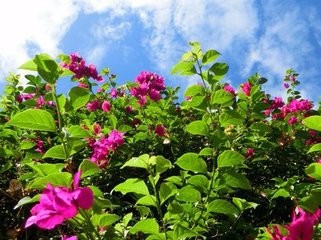 1630077381454390.jpg 1630077381454390.jpg