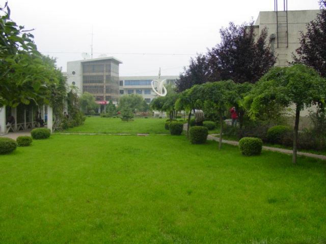 1630077558225930.jpg 1630077558225930.jpg