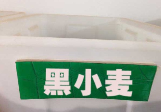 1630116666536888.jpg image.jpg