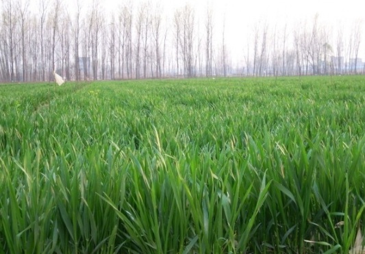 1630116691601308.jpg image.jpg