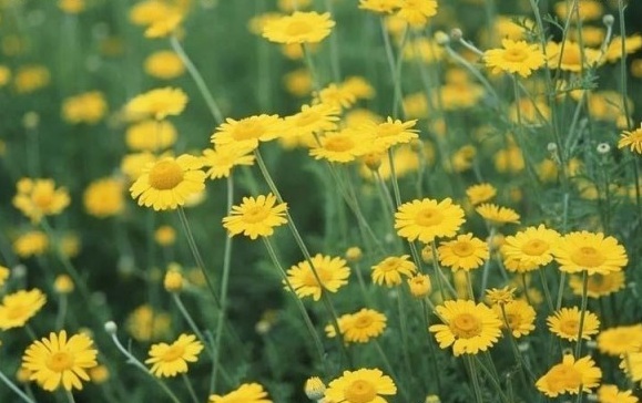 1630136292922430.jpg RAAEX[IQ00G89{TLG@L@MG6.jpg