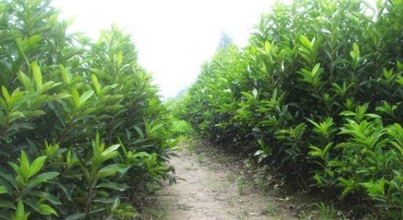 1630228275322326.jpg 0YY2RAUVA5(`CFZ(1DX)O0B.jpg