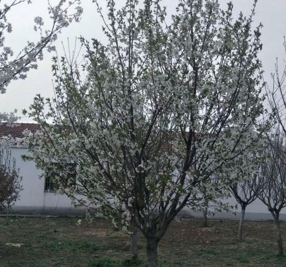 1630228337522413.jpg _N9AHA7EZ88D[8YP44F7XUT.jpg