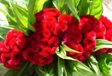 1630232207115553.jpg DYG4[4BUD{HT7U5O[1(E_3F.jpg