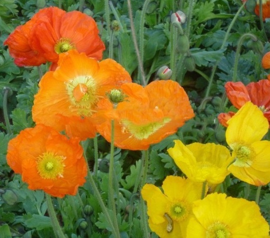 1630232378110755.jpg HR4XJSE5AV5%3LW`BAH9Y(4.jpg