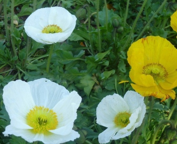 1630232397387405.jpg IOLAK$K}8779%VRTONTT)`D.jpg