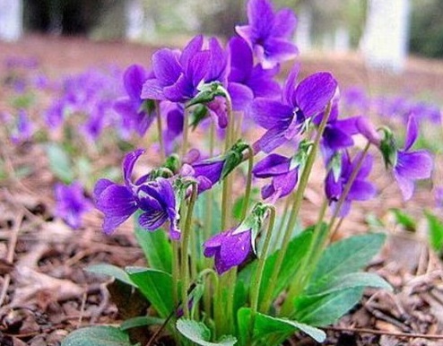 1630232611329899.jpg O2F$3WS4SRNV07WUN2QOU4U.jpg