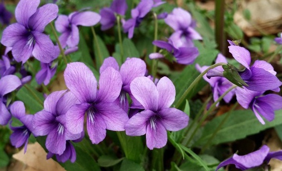 1630232629361619.jpg _$KYD5S530NGUN9HE0%K348.jpg