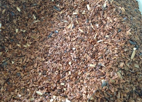 1630235897175054.jpg image.jpg