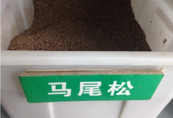 1630236011917665.jpg image.jpg