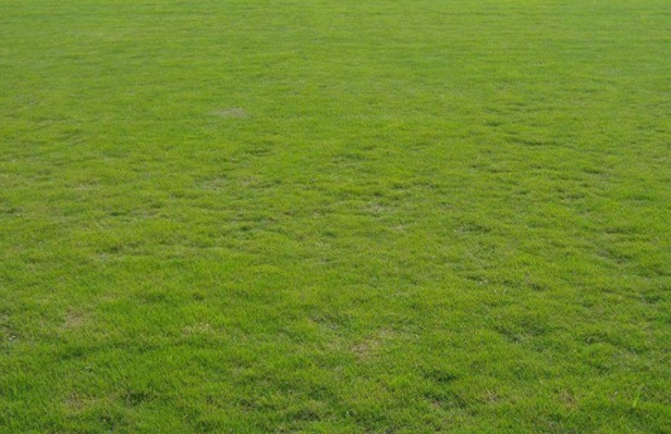 1630237102462793.jpg image.jpg