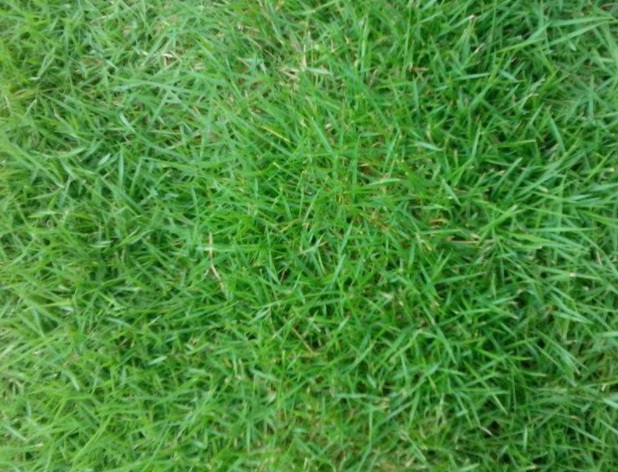 1630237113877436.jpg image.jpg