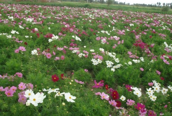 1630237480893659.jpg [0%HH71MN@E}JFU~5)_{4FY.jpg