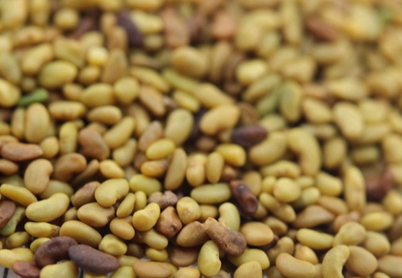 1630237791570430.jpg image.jpg