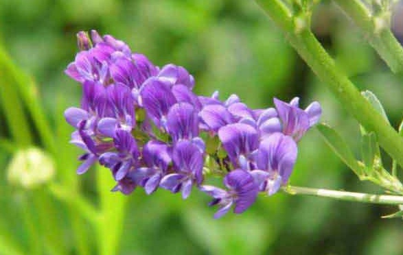 1630237802292891.jpg image.jpg