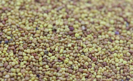 1630237989893880.jpg image.jpg