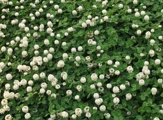 1630238010392259.jpg image.jpg