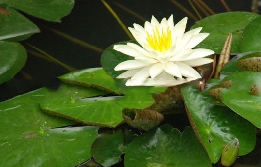 1630238287253789.jpg 6IGA1H89ZPWHWJ(NTAF)[ZW.jpg