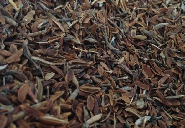 1630238814896715.jpg image.jpg