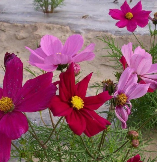 1630239006138182.jpg U8[~%8F6O4V8K[050[S`SV0.jpg