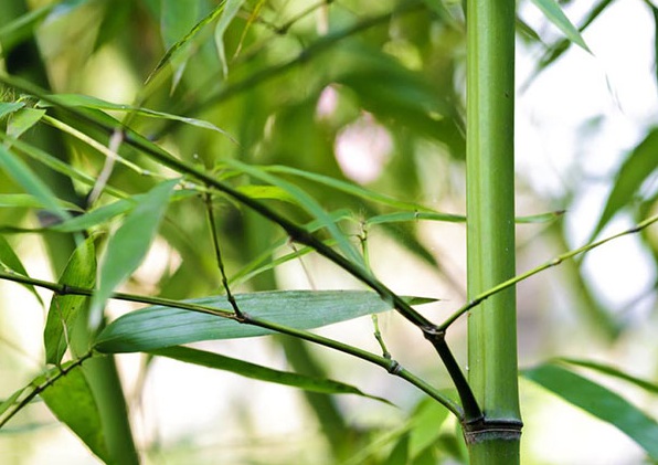 1630239011916920.jpg image.jpg