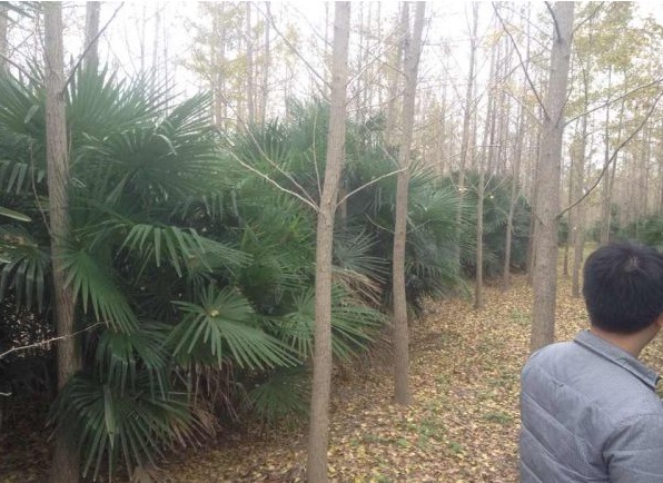 1630239077166284.jpg image.jpg