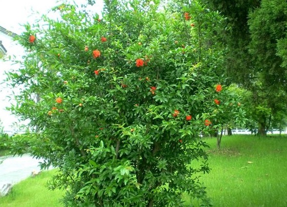 1630239141529535.jpg image.jpg