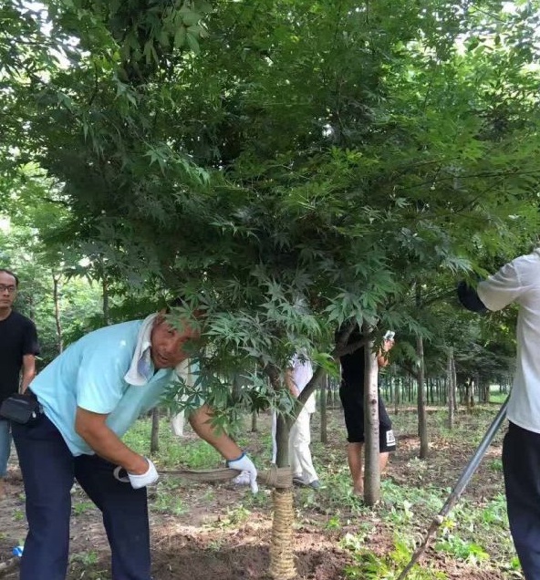 1630239761159336.jpg image.jpg