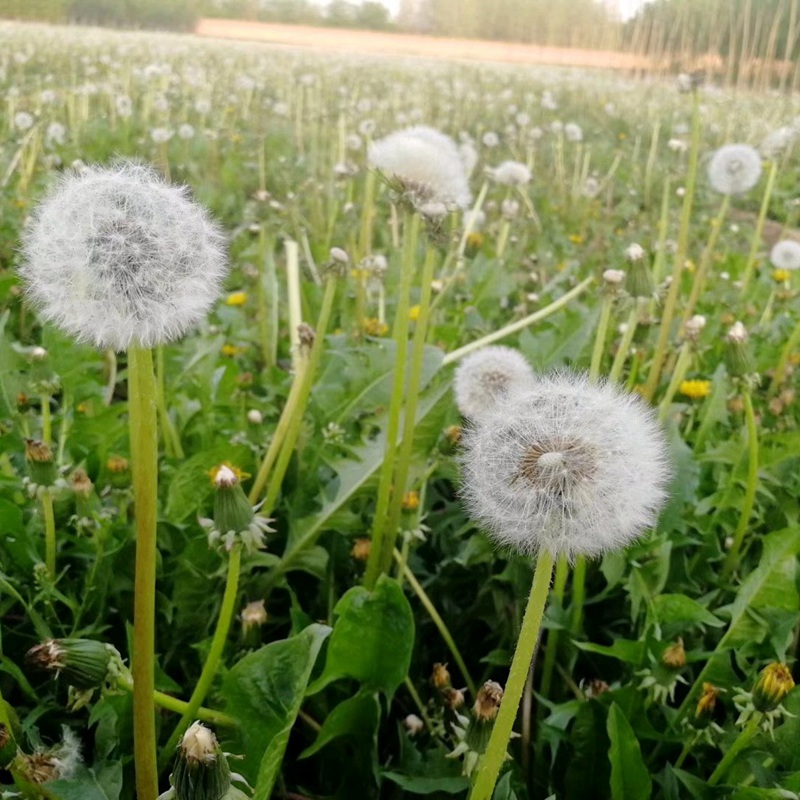 è?2???è?±?o??¤§?????????????¤§?|?????? ??¥é?????