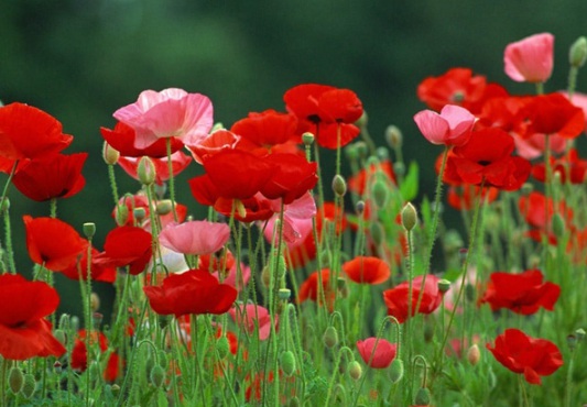 1630240520693874.jpg image.jpg