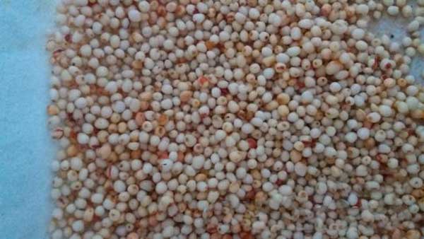 ?¤?éo??§??-???????