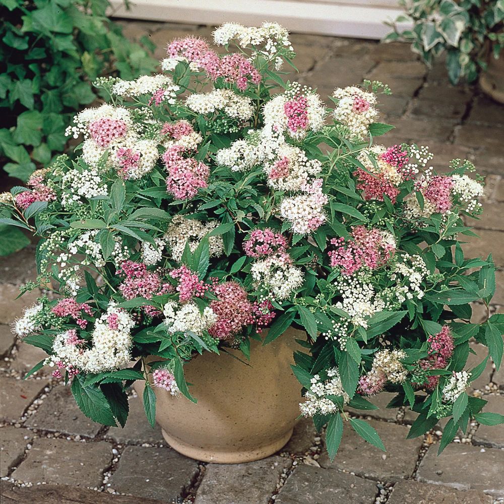 è???ˉ?è???????oè?±???é???????£?o?è??