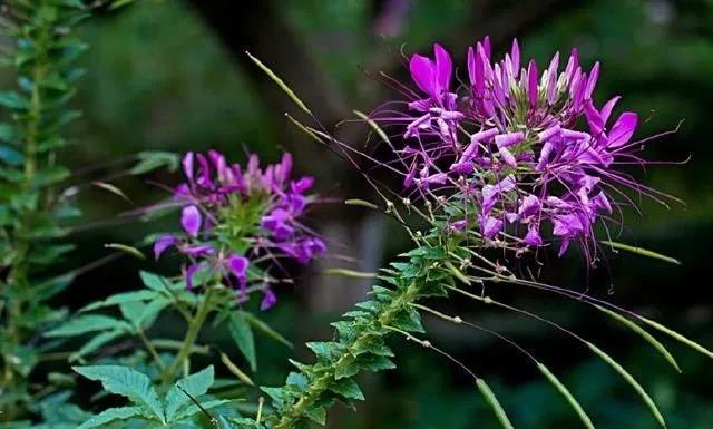 é??è??è?±???????????????????§??¤???1?3?