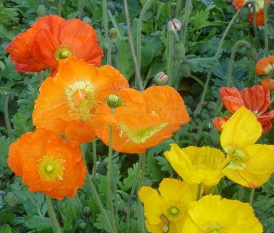 1630242741419220.jpg image.jpg