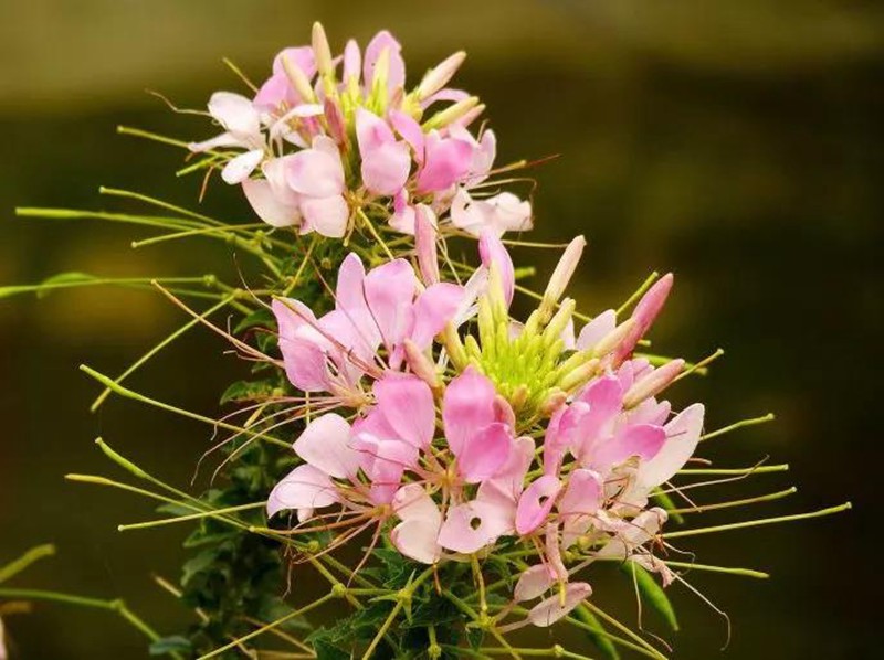 é??è??è?±????????¨??·????????¨é??