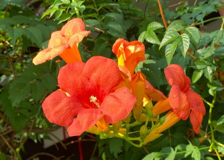 1630248345448957.jpg image.jpg