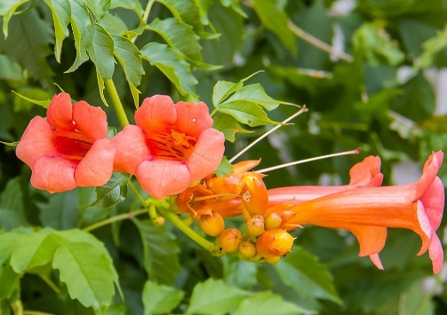 1630248358967573.jpg image.jpg