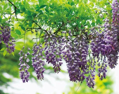 1630248635277316.jpg image.jpg