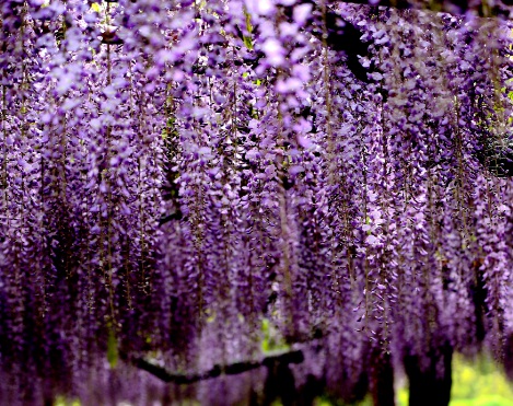 1630248645355297.jpg image.jpg