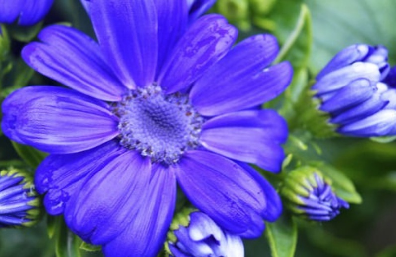 1630311206922607.jpg 太陽2.jpg