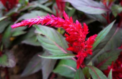 1630382343971216.jpg 1630382343971216.jpg