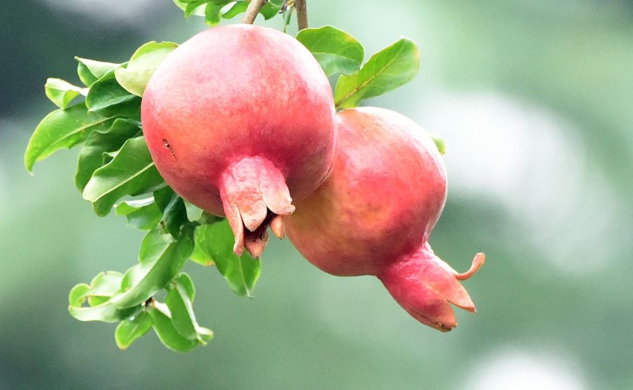 1630382727793723.jpg 1630382727793723.jpg