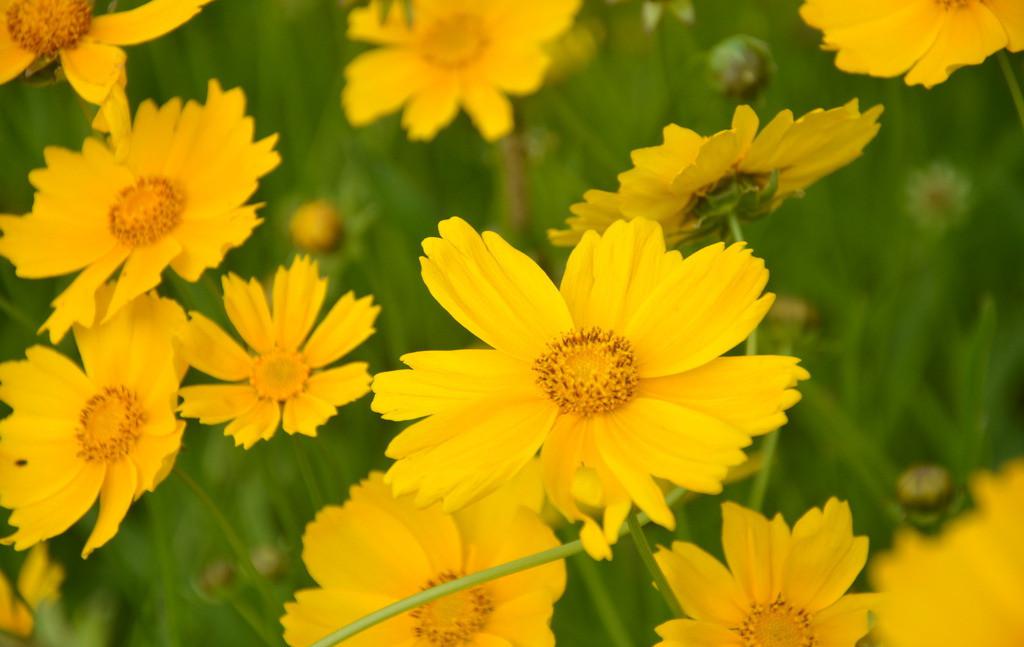 1630392920298211.jpg 1630392920298211.jpg