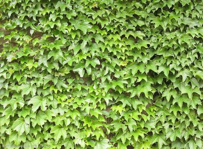 1630394057184218.jpg 1630394057184218.jpg