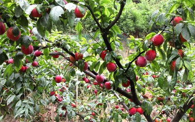 1630395788211675.jpg 1630395788211675.jpg