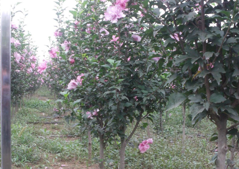 1630399030207688.jpg 目鏡書2.jpg