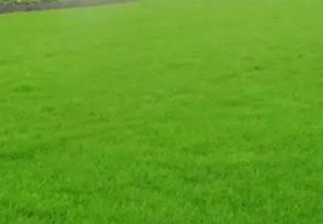 1630416792192954.jpg image.jpg