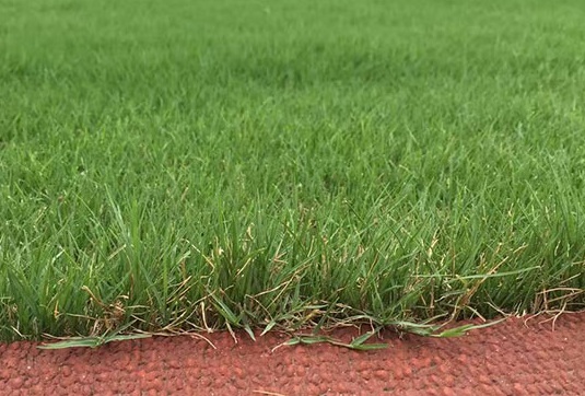 1630417568790367.jpg image.jpg