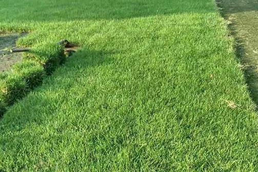 1630417576332264.jpg image.jpg